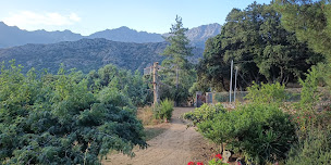 Photo n°12 de Pizzéria chez René à Muro (Restaurant)