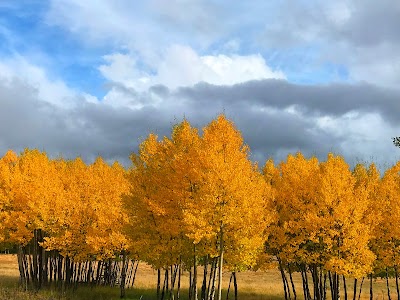 Four Seasons of Angel Fire