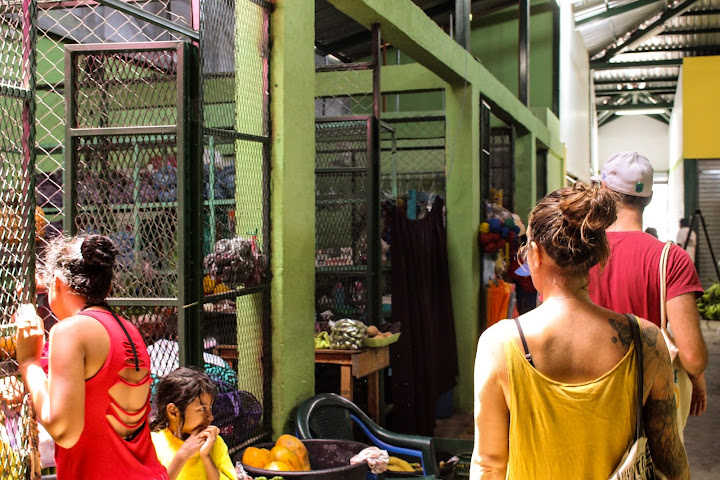 Coconut Surf by null