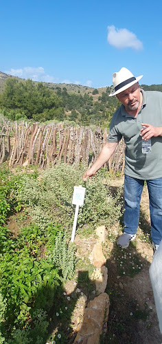 Καζέρμα των βοτάνων
