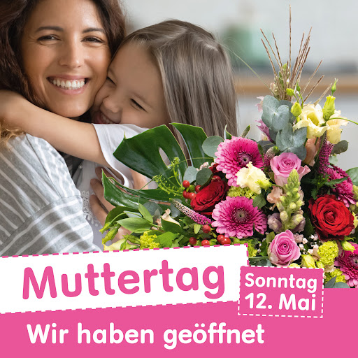 Blumen Risse Blumenladen Minden - Thumbnail