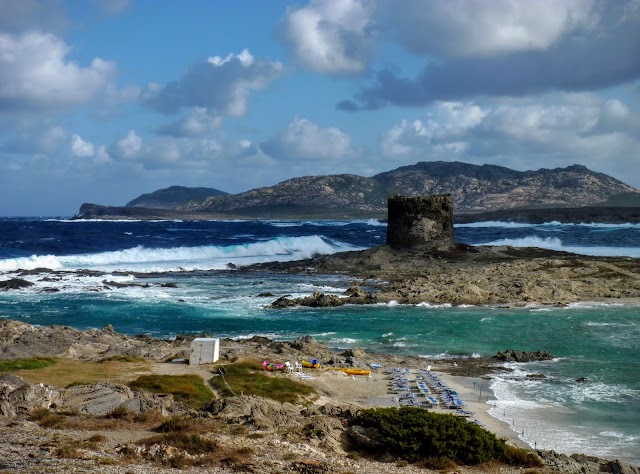 Spiaggia della Pelosetta