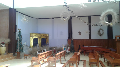 Lyncott Aguascalientes - Visual