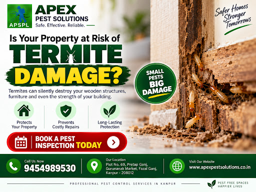 Termites can silently affect wooden structures, furniture and other areas of a property. Because…