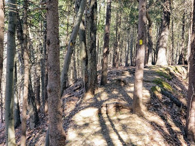 West Essex Trail