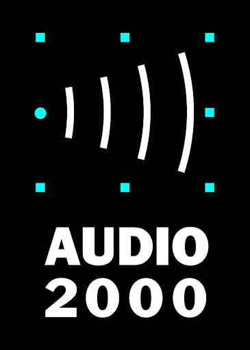 SARL L AUDIO