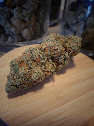 Photo n°5 de Terra CBD Meyzieu Shop à Meyzieu (Programme de bien-être)