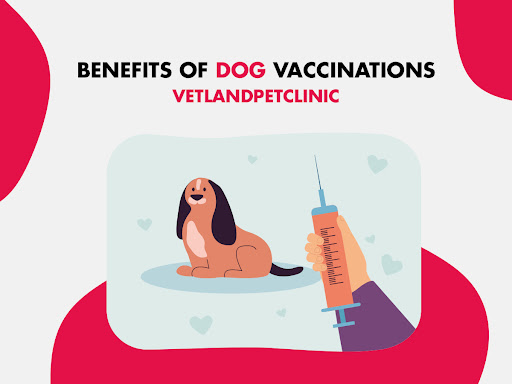 Benefits of Dog Vaccinations Vet Land Pet Clinic post image