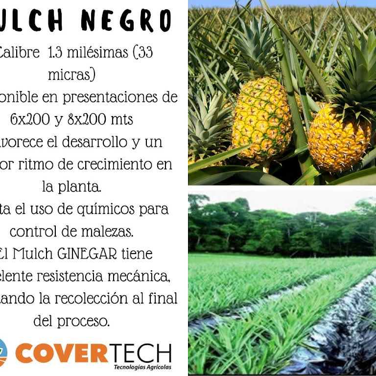 Plástico negro - Covertech Corporation S.A. Costa Rica