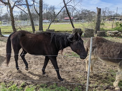 Pettit Creek Farms