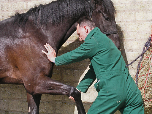 Warminster Osteopathic Clinic Gallery - United Kingdom