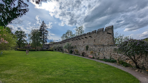 Burg Creuzburg - Thumbnail