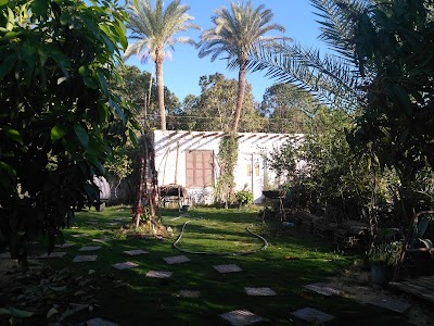 Photos of مسجد عزبه عفو