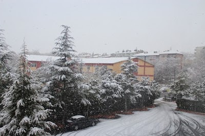 school