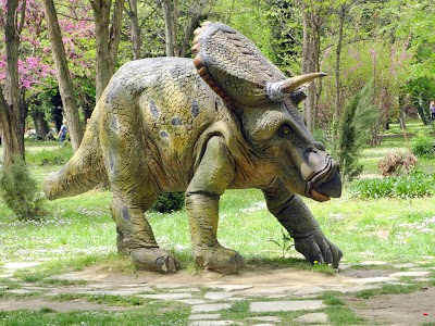 Photos of Zoo Pazardzhik