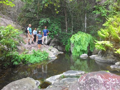 Photos of RAINFOREST WEST BALI