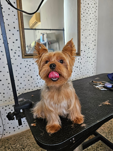 Pawppies Grooming & Supplies