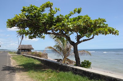 Photos of La paillote