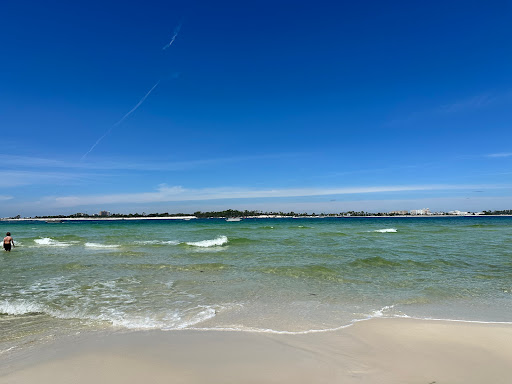 Shell Island Shuttle - Visual