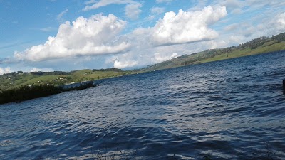 Photos of Guadua Park
