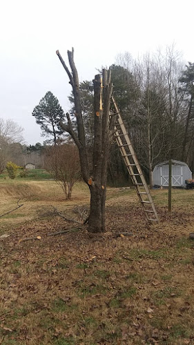Pack Tree Service