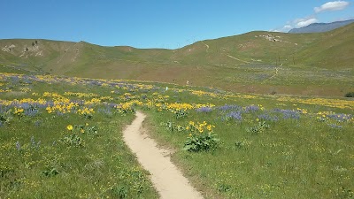 Day Drive Trailhead