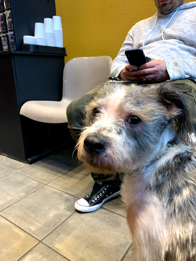 Higgins Animal Clinic - Thumbnail