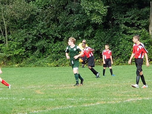 Berthold Field - Visual