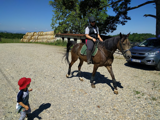 Poney Club Bruyeres - Thumbnail