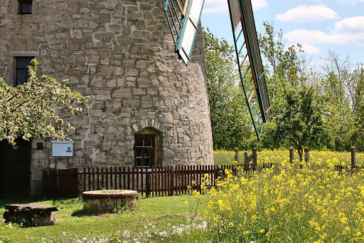 Turmwindmühle Immenrode - Visual