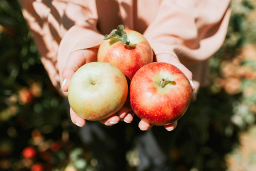 Fruits Et Legumes Provence Indust - Thumbnail