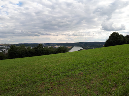 Baumhausen - Visual