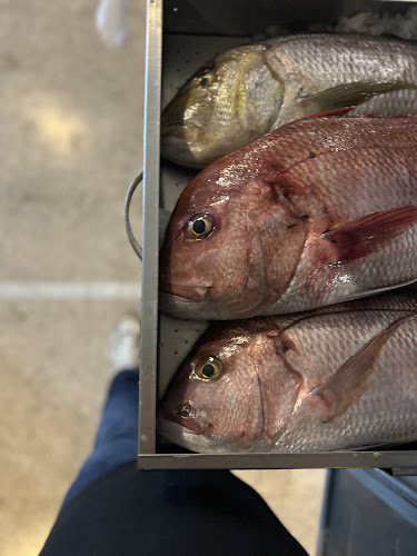 Comentarii opinii despre Panorama FishRest