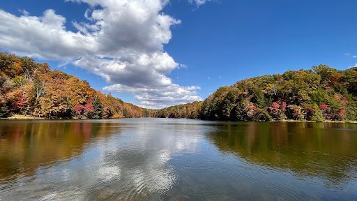 Rose Lake Overlook