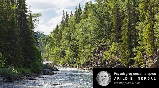 Arild B Nordal Psykolog
