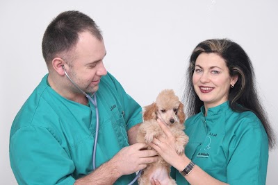 Photos of Dr. Beinerts, Ltd.