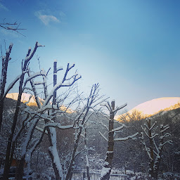 Photo n°14 de Interski - Location ski Saint Lary à Vielle-Aure (Magasin d'articles de sports)