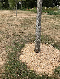 Photo n°16 de Ferme de la Grâce - Vente de copeaux de Miscanthus à Montmirail (Agriculteur)