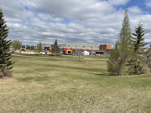 Willowgrove School - Visual
