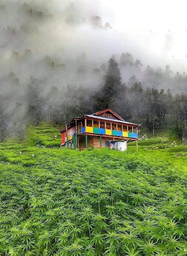 Malana Village kasol - Booking @ Him Gaurav Travels  post image