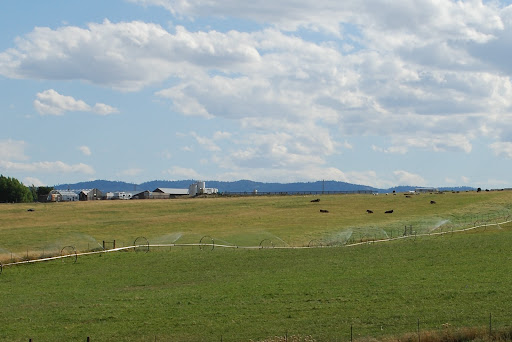 Windy N Ranch - Thumbnail