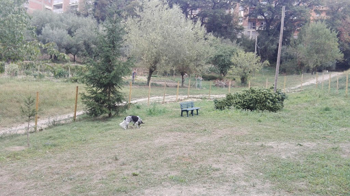 Area Cani Via Torelli - Thumbnail