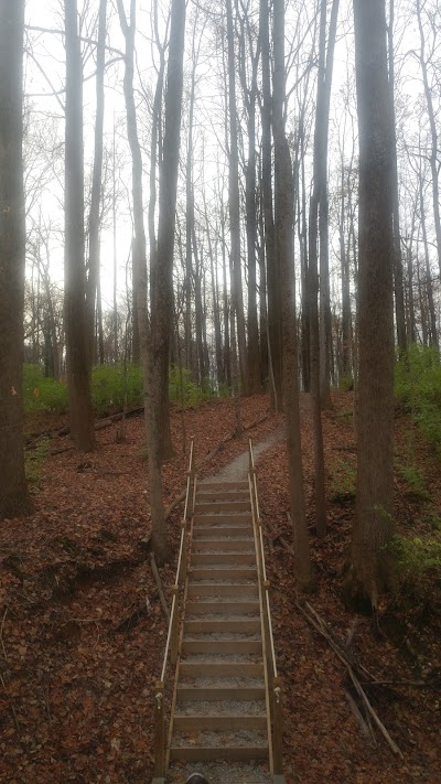 Russ Nature Reserve Parking Lot