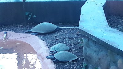 Photos of Bioparque The Ocarros