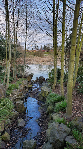 Talking Water Gardens - Thumbnail