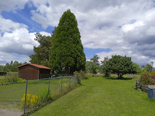 Gîte du Séquoia - Thumbnail
