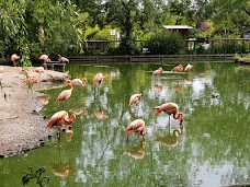 Chester Zoo