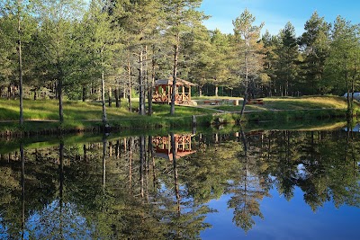 Photos of Zēņu dīķis