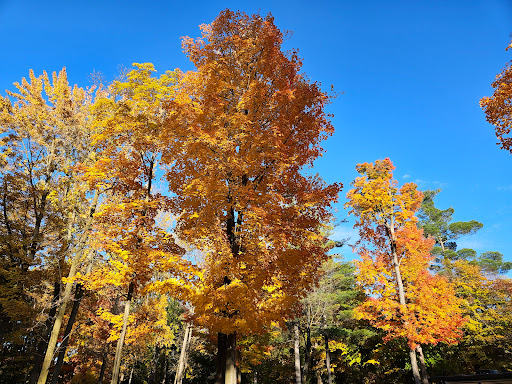 Pine Ridge RV Campground - Thumbnail