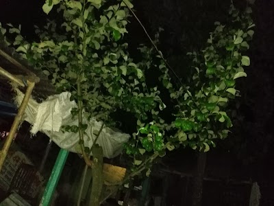 Photos of Ashekpur আশেকপুর মধ্যপাড়া